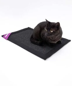 Petrebels Mastermat 60 Katten Krabmat - Zwart - 60 X 40 Cm - Zeer Sterk -Winkel Voor Kattenbenodigdheden 1007x1200 1