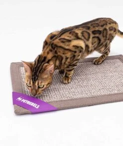 Petrebels Mastermat 60 Katten Krabmat - Cappuccino - 60 X 40 Cm - Zeer Sterk -Winkel Voor Kattenbenodigdheden 1015x1200 1