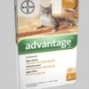 Advantage 40 Vlooiendruppels Kat Tot 4 Kg - 4 Pipetten 1 Advantage 40 Vlooiendruppels Kat Tot 4 Kg - 4 Pipetten -Winkel Voor Kattenbenodigdheden 1034x1200