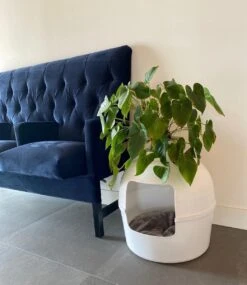 XXL Kattenbak – Verborgen Kattentoilet – Flower XXL Wit Voor Grote Katten Van RHRQuality -Winkel Voor Kattenbenodigdheden 1041x1200