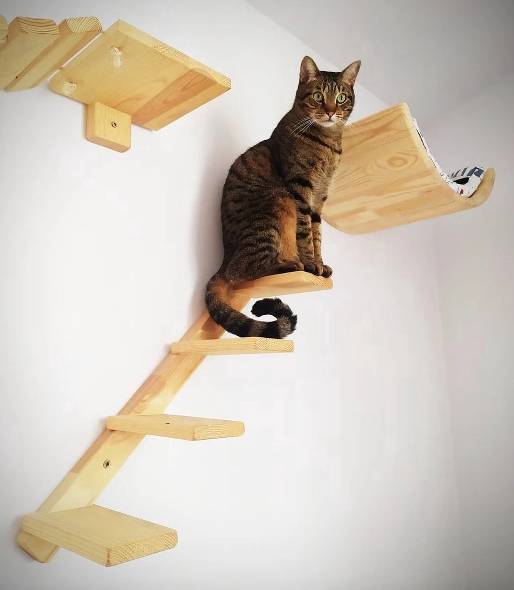 Kattentrap Hout - Linksonder Naar Rechtsboven - Handgemaakte Kattenladder - Katten Klimmuur Klimwand 7 Kattentrap Hout - Linksonder Naar Rechtsboven - Handgemaakte Kattenladder - Katten Klimmuur Klimwand - Afbeelding 5