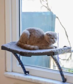 Hobipets - Kattenmand Raam - 5 Zuignappen - Hangmat Kat Raam -Winkel Voor Kattenbenodigdheden 1049x1200 6