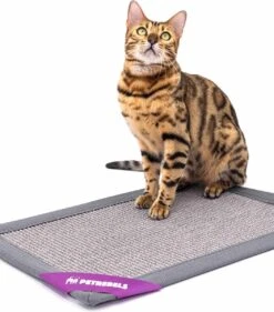 Petrebels Mastermat 60 Katten Krabmat - Grijs - 60 X 40 Cm - Zeer Sterk -Winkel Voor Kattenbenodigdheden 1053x1200 4