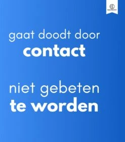 Essential Link Teken- En Vlooienband - Vlooienband Kat – Anti Vlooien – Vlooienmiddel - Tekenband - Diervriendelijk -Winkel Voor Kattenbenodigdheden 1058x1200