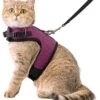 Kattentuigje Met Leiband Riem Kattenharnas Paars Maat M Kat & Kitten - Dieren Kattenriem - Cat Leash - Halsomvang 20 Tot 26cm - Borstomvang 30 Tot 34cm - Zootic® -Winkel Voor Kattenbenodigdheden 1065x1200 3