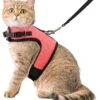 Kattentuigje Met Leiband Riem Kattenharnas Roze Maat S Kat & Kitten - Dieren Kattenriem - Cat Leash - Halsomvang 15 Tot 20cm - Borstomvang 25 Tot 30cm - Zootic® -Winkel Voor Kattenbenodigdheden 1065x1200 4