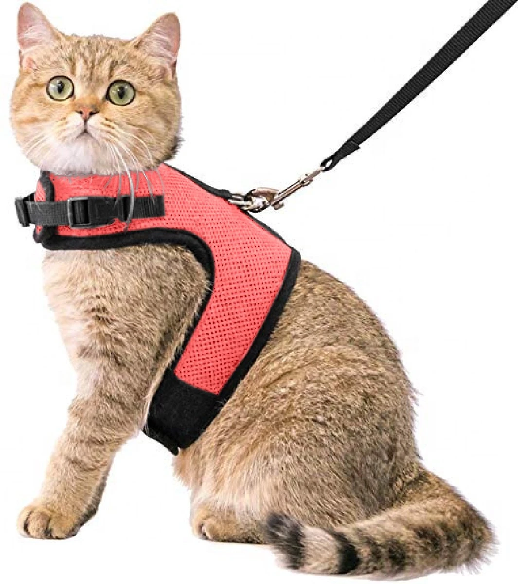 Kattentuigje Met Leiband Riem Kattenharnas Roze Maat S Kat & Kitten - Dieren Kattenriem - Cat Leash - Halsomvang 15 Tot 20cm - Borstomvang 25 Tot 30cm - Zootic® 3 Kattentuigje Met Leiband Riem Kattenharnas Roze Maat S Kat & Kitten - Dieren Kattenriem - Cat Leash - Halsomvang 15 Tot 20cm - Borstomvang 25 Tot 30cm - Zootic®