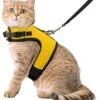 Kattentuigje Met Leiband Riem Kattenharnas Geel Maat M Kat & Kitten - Dieren Kattenriem - Cat Leash - Halsomvang 20 Tot 26cm - Borstomvang 30 Tot 34cm - Zootic®