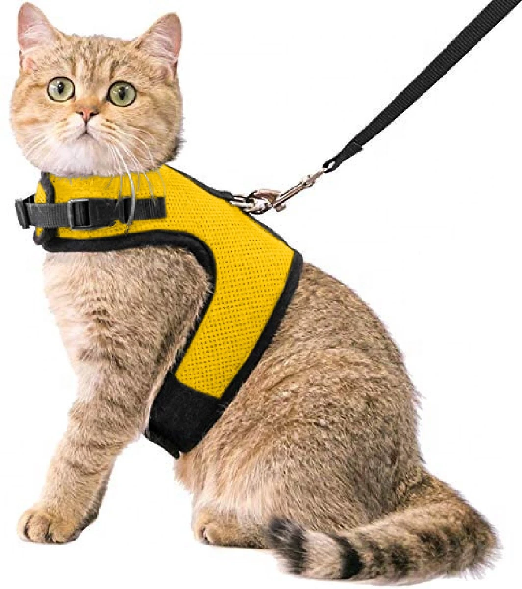 Kattentuigje Met Leiband Riem Kattenharnas Geel Maat L Kat & Kitten - Dieren Kattenriem - Cat Leash - Halsomvang 24 Tot 33cm - Borstomvang 36 Tot 41cm - Zootic® 3 Kattentuigje Met Leiband Riem Kattenharnas Geel Maat L Kat & Kitten - Dieren Kattenriem - Cat Leash - Halsomvang 24 Tot 33cm - Borstomvang 36 Tot 41cm - Zootic®