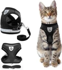 Merkloos Kattentuigje Met Looplijn | Zwart Kattenharnas | Easy Step In | Kattenriem | Kattenlijn | Kattentuig | Maat S -Winkel Voor Kattenbenodigdheden 1070x1200