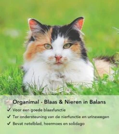 Organimal - Blaas En Nieren In Balans - Kat - O.a. Bij Blaasontsteking En Blaasgruis - 45 Tabletten A 700mg 7 Organimal - Blaas En Nieren In Balans - Kat - O.a. Bij Blaasontsteking En Blaasgruis - 45 Tabletten A 700mg -Winkel Voor Kattenbenodigdheden 1071x1200 1