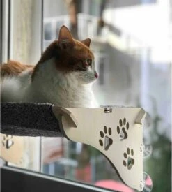 Merkloos Arnillo - Kattenhangmat - Kattenhangmat Raam - Kattenmand - Kattenbed - Kattenbed Raam - Kat Decoratie - Houten Kattenhangmat -Winkel Voor Kattenbenodigdheden 1076x1200 3