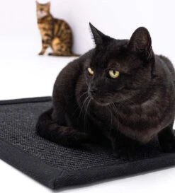 Petrebels Mastermat 80 Katten Krabmat - Zwart - 80 X 50 Cm - Zeer Sterk -Winkel Voor Kattenbenodigdheden 1086x1200 4