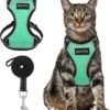 Kattentuigje Met Leiband Riem Kattenharnas Groen Maat L Kat & Kitten - Dieren Kattenriem - Cat Leash - Halsomvang 24 Tot 33cm - Borstomvang 36 Tot 41cm - Zootic® 2 Kattentuigje Met Leiband Riem Kattenharnas Groen Maat L Kat & Kitten - Dieren Kattenriem - Cat Leash - Halsomvang 24 Tot 33cm - Borstomvang 36 Tot 41cm - Zootic® -Winkel Voor Kattenbenodigdheden 1091x1200 1