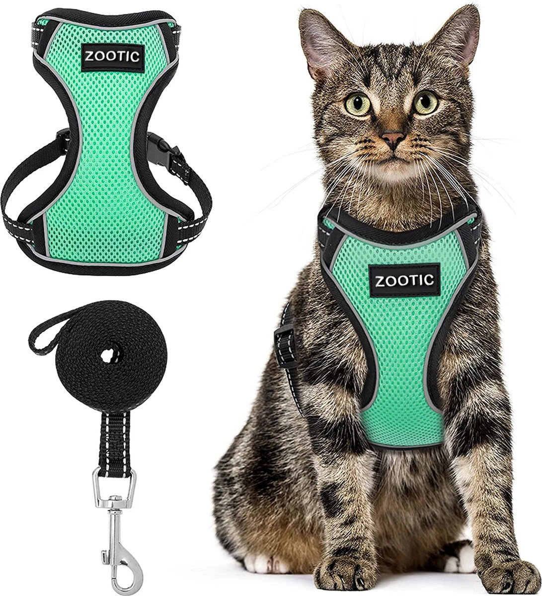 Kattentuigje Met Leiband Riem Kattenharnas Groen Maat L Kat & Kitten - Dieren Kattenriem - Cat Leash - Halsomvang 24 Tot 33cm - Borstomvang 36 Tot 41cm - Zootic® 3 Kattentuigje Met Leiband Riem Kattenharnas Groen Maat L Kat & Kitten - Dieren Kattenriem - Cat Leash - Halsomvang 24 Tot 33cm - Borstomvang 36 Tot 41cm - Zootic®