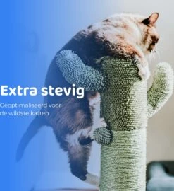 ACE Pets Reflecterende Kattenhalsband Met Veiligheidssluiting – Halsband Kat & Kitten - Met Adreskoker - Kittenhalsband & Kattenbandje Met Belletje - Zwart 15 ACE Pets Reflecterende Kattenhalsband Met Veiligheidssluiting – Halsband Kat & Kitten - Met Adreskoker - Kittenhalsband & Kattenbandje Met Belletje - Zwart -Winkel Voor Kattenbenodigdheden 1099x1200 4