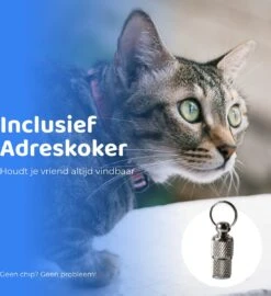 ACE Pets Reflecterende Kattenhalsband Met Veiligheidssluiting – Halsband Kat & Kitten - Met Adreskoker - Kittenhalsband & Kattenbandje Met Belletje - Zwart 18 ACE Pets Reflecterende Kattenhalsband Met Veiligheidssluiting – Halsband Kat & Kitten - Met Adreskoker - Kittenhalsband & Kattenbandje Met Belletje - Zwart -Winkel Voor Kattenbenodigdheden 1099x1200 5