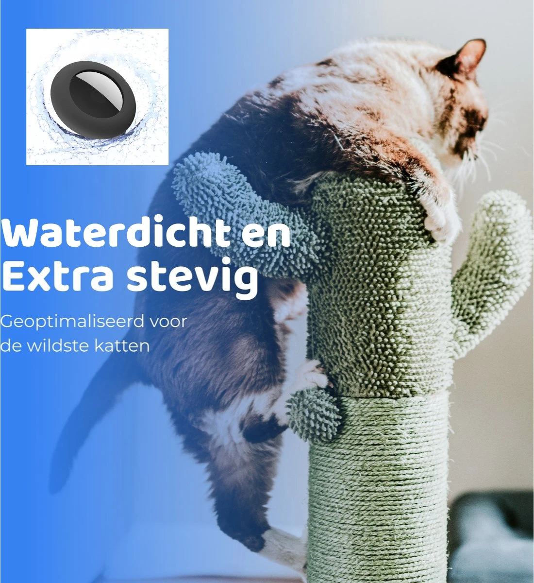 ACE Pets Reflecterende Kattenhalsband Met Veiligheidssluiting – Halsband Kat & Kitten - Met Adreskoker - Kittenhalsband & Kattenbandje Met Belletje - Geschikt Voor Apple Airtag - Zwart 12 ACE Pets Reflecterende Kattenhalsband Met Veiligheidssluiting – Halsband Kat & Kitten - Met Adreskoker - Kittenhalsband & Kattenbandje Met Belletje - Geschikt Voor Apple Airtag - Zwart - Afbeelding 10