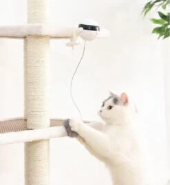 Merkloos Kattenspeelgoed - Katten Speelgoed - Katten Speeltje - Katten Bal - Katten - Kattenhengel - Kitten Speelgoed - Kattenspeeltjes - Elektrische - Muis - Automatische Hengel - Bal - Poes - Katten - Prooi - Kat - Poesjes - Interactief Kattenspeelgoed -Winkel Voor Kattenbenodigdheden 1105x1200 5