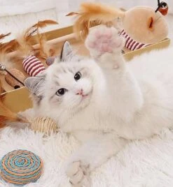 GIZMO Luxe Kattenspeeltjes Set - 7 Speeltjes - Interactieve Kattenhengel, Kattenspeelgoed & Speelmuisjes - Kitten Speeltjes 17 GIZMO Luxe Kattenspeeltjes Set - 7 Speeltjes - Interactieve Kattenhengel, Kattenspeelgoed & Speelmuisjes - Kitten Speeltjes -Winkel Voor Kattenbenodigdheden 1108x1200 2