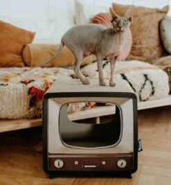 District 70 TELLY - Retro TV Krabmeubel - Instagrammable Kartonnen TV Voor Katten - 39 X 27 X 37 Cm 18 District 70 TELLY - Retro TV Krabmeubel - Instagrammable Kartonnen TV Voor Katten - 39 X 27 X 37 Cm -Winkel Voor Kattenbenodigdheden 1112x1200 1