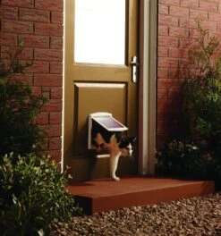 Petsafe 700 Kattenluik - S - Wit - 18.5 X 15.8 Cm 24 Petsafe 700 Kattenluik - S - Wit - 18.5 X 15.8 Cm -Winkel Voor Kattenbenodigdheden 1122x1200 2