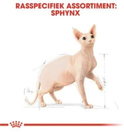 Royal Canin Sphynx Adult - Kattenvoer - 10 Kg -Winkel Voor Kattenbenodigdheden 1126x1200 1