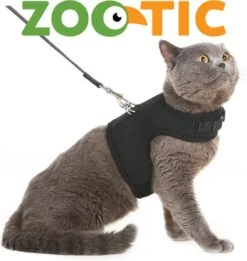 Kattentuigje Met Leiband Riem Kattenharnas Roze Maat S Kat & Kitten - Dieren Kattenriem - Cat Leash - Halsomvang 15 Tot 20cm - Borstomvang 25 Tot 30cm - Zootic® 13 Kattentuigje Met Leiband Riem Kattenharnas Roze Maat S Kat & Kitten - Dieren Kattenriem - Cat Leash - Halsomvang 15 Tot 20cm - Borstomvang 25 Tot 30cm - Zootic® -Winkel Voor Kattenbenodigdheden 1135x1200 3