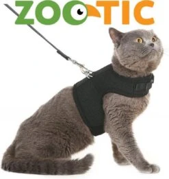 Zootic Kattentuigje Met Leiband Riem Kattenharnas Zwart Maat M Kat & Kitten - Halsomvang 20 Tot 26cm - Borstomvang 30 Tot 34cm 12 Zootic Kattentuigje Met Leiband Riem Kattenharnas Zwart Maat M Kat & Kitten - Halsomvang 20 Tot 26cm - Borstomvang 30 Tot 34cm -Winkel Voor Kattenbenodigdheden 1135x1200 5