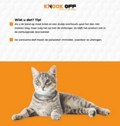 Knock Off Vlooien-tekenband – 100% Natuurlijke Vlooienbestrijding - Zonder Schadelijke Pesticiden Of Gif – Effectief Tot 4 Maanden – Nederlands- En Franstalige Handleiding – Regen- En Waterbestendig - Geschikt Voor Katten – 35 Cm -Winkel Voor Kattenbenodigdheden 1139x1200 1
