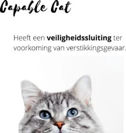 Capable Cat Vlooienband Kat | Vlooien | Luizen | Teken | Mijten | 8 Maanden Bescherming | Katten 12 Capable Cat Vlooienband Kat | Vlooien | Luizen | Teken | Mijten | 8 Maanden Bescherming | Katten -Winkel Voor Kattenbenodigdheden 1143x1200 1