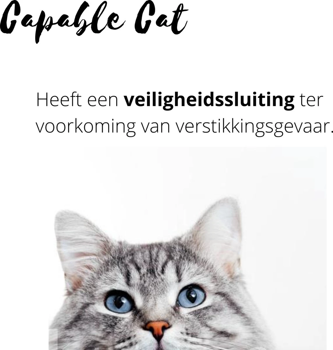 Capable Cat Vlooienband Kat | Vlooien | Luizen | Teken | Mijten | 8 Maanden Bescherming | Katten 6 Capable Cat Vlooienband Kat | Vlooien | Luizen | Teken | Mijten | 8 Maanden Bescherming | Katten - Afbeelding 4