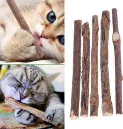 Matatabi Kauwstaafjes Voor Katten - 5x Matabi Stokjes - Kattenspeelgoed - 100% Natuurlijke Sticks - Plantaardig - Silver Vine Kauwstaven Voor Kittens - Kattenkruid Effect - Gebitsverzorging - 5 Stuks Vardaan Kauwstaven Voor Katten - XS - 11 Cm 13 Matatabi Kauwstaafjes Voor Katten - 5x Matabi Stokjes - Kattenspeelgoed - 100% Natuurlijke Sticks - Plantaardig - Silver Vine Kauwstaven Voor Kittens - Kattenkruid Effect - Gebitsverzorging - 5 Stuks Vardaan Kauwstaven Voor Katten - XS - 11 Cm -Winkel Voor Kattenbenodigdheden 1143x1200 2