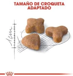 Royal Canin Sensible 33 - Kattenvoer - 10+2 Kg Bonusbag 19 Royal Canin Sensible 33 - Kattenvoer - 10+2 Kg Bonusbag -Winkel Voor Kattenbenodigdheden 1149x1200 3