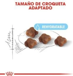 Royal Canin Mother & Babycat - Kattenvoer - 4 Kg -Winkel Voor Kattenbenodigdheden 1151x1200 1