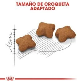 Royal Canin Kitten Sterilised - Kattenvoer - 2 Kg -Winkel Voor Kattenbenodigdheden 1151x1200