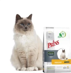 Prins VitalCare Protection Indoor Kattenvoer 5 Kg 16 Prins VitalCare Protection Indoor Kattenvoer 5 Kg -Winkel Voor Kattenbenodigdheden 1153x1200 2