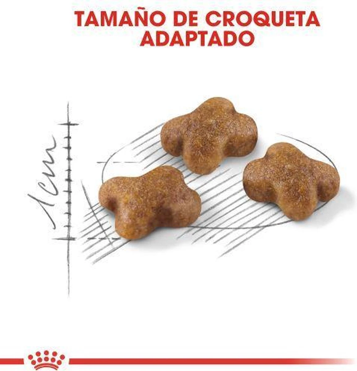 Royal Canin Kitten - Kittenvoer - 4 Kg 9 Royal Canin Kitten - Kittenvoer - 4 Kg - Afbeelding 7