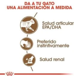 Royal Canin Wet Ageing 12+ (12X85 GR) -Winkel Voor Kattenbenodigdheden 1158x1200 1