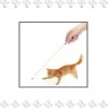 Merkloos EPIN | Kat Laserlampje | Kattenspeelgoed | Laserlamp |Met Mini Zaklamp 2 In 1 | Batterijen Inbegrepen | ZWART -Winkel Voor Kattenbenodigdheden 1164x1200 3