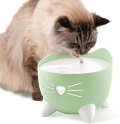 Catit Pixi Fountain - Kattendrinkbak - 20x20x16 Cm Groen -Winkel Voor Kattenbenodigdheden 1167x1200 5