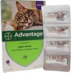 Bayer Anti Vlooienmiddel Advantage 80 > 4 Kg - 4 X 0,8 Ml -Winkel Voor Kattenbenodigdheden 1168x1200