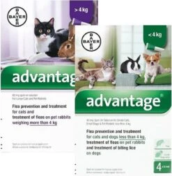 Advantage Kat 80 - 4 Pipet -Winkel Voor Kattenbenodigdheden 1170x1200