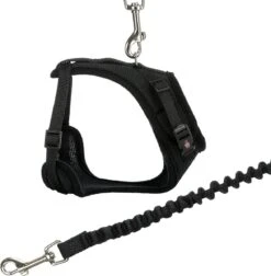 Trixie Kattentuig Mesh Y-vorm Met Elastische Riem (36-60X100 CM) -Winkel Voor Kattenbenodigdheden 1177x1200 2