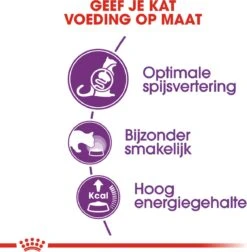 Royal Canin Sensible 33 - Kattenvoer - 2 Kg 30 Royal Canin Sensible 33 - Kattenvoer - 2 Kg -Winkel Voor Kattenbenodigdheden 1177x1200