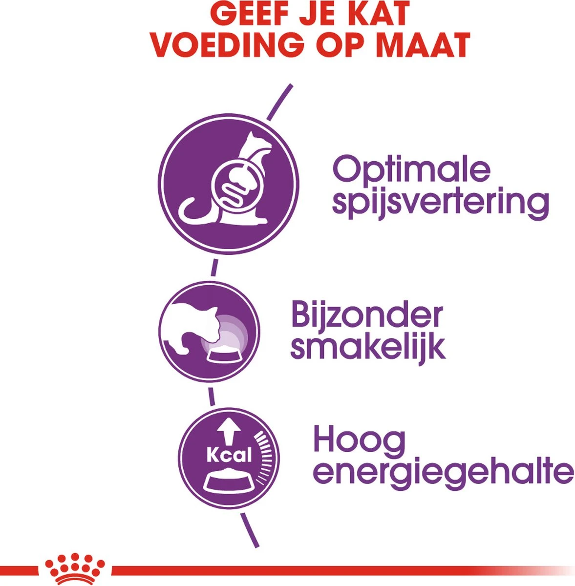 Royal Canin Sensible 33 - Kattenvoer - 2 Kg 14 Royal Canin Sensible 33 - Kattenvoer - 2 Kg - Afbeelding 12