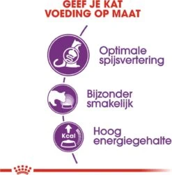 Royal Canin Sensible 33 - Kattenvoer - 10+2 Kg Bonusbag 16 Royal Canin Sensible 33 - Kattenvoer - 10+2 Kg Bonusbag -Winkel Voor Kattenbenodigdheden 1178x1200 3