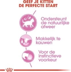 Royal Canin Wet Kitten (12X85 GR) -Winkel Voor Kattenbenodigdheden 1179x1200 3