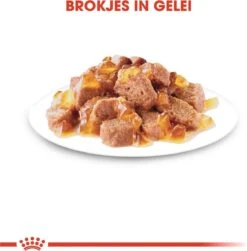 Royal Canin Sterilised In Jelly - Kattenvoer - 1020 G -Winkel Voor Kattenbenodigdheden 1179x1200 5