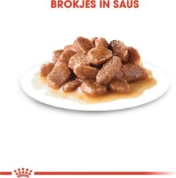 Royal Canin Urinary Care In Gravy (12X85 GR) 16 Royal Canin Urinary Care In Gravy (12X85 GR) -Winkel Voor Kattenbenodigdheden 1184x1200 1